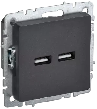 Розетка IEK Brite РЮ10-1-БрЧ, 2xUSB-A, 3.1А, механизм с накладкой, черный (BR-U21-D31-K02)