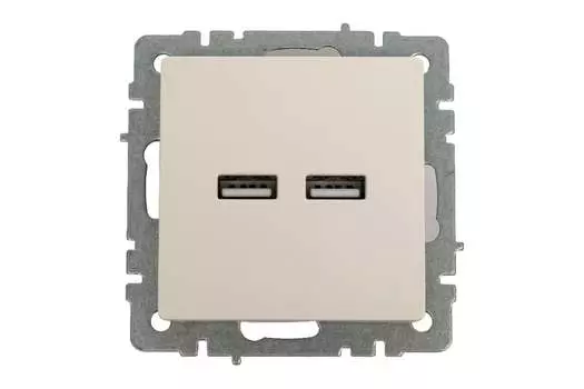 Розетка IEK Brite РЮ10-1-БрЖ, 2xUSB-A, механизм с накладкой, жемчуг (BR-U21-D31-K36)