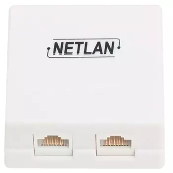 Розетка RJ-45+RJ-45 открытый монтаж категория 5e, белый, 10шт., NETLAN (EC-UWO-2-UD2-WT-10)