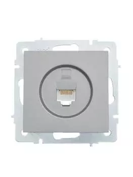 Розетка RJ-45 скрытый монтаж, 1 модуль, платина, Lezard Vesna (742-3588-139)