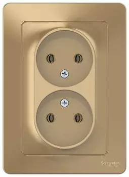 Розетка Schneider Electric Blanca BLNRS000024, скрытый монтаж, 2-х постовая, 16A, в сборе, IP20, титан (BLNRS000024)