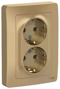 Розетка Schneider Electric Blanca BLNRS001024, скрытый монтаж, 2-х постовая, с з/к, 16A, в сборе, IP20, титан (BLNRS001024)