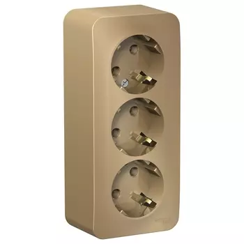 Розетка Schneider Electric Blanca, открытый монтаж, 3-х постовая, с з/к, 16A, в сборе с изолирующей пластиной, IP20, титан (BLNRA010314)