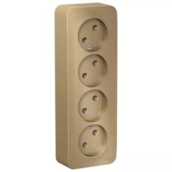 Розетка Schneider Electric Blanca, открытый монтаж, 4-х постовая, 16A, в сборе с изолирующей пластиной, IP20, титан (BLNRA000414)