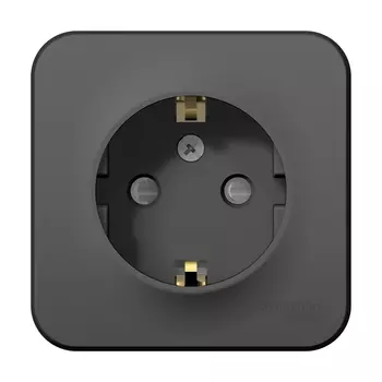 Розетка Schneider Electric Blanca, открытый монтаж, однопостовая, с з/к, со шторками, 16A, в сборе, IP20, антрацит (BLNRA011106)