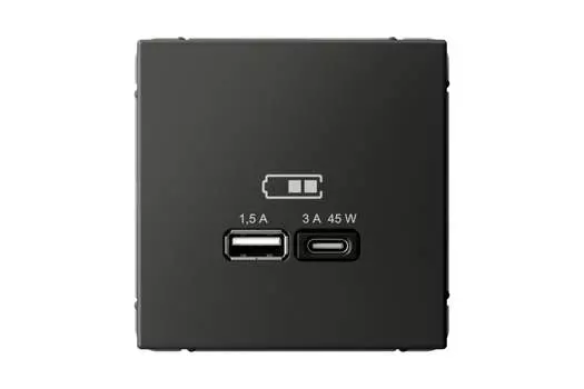 Розетка Systeme Electric AartGallery, USB-A, USB-C, 1.5А, 3А, 45 Вт, механизм с накладкой, базальт (GAL001429)