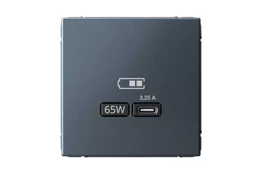 Розетка Systeme Electric AartGallery, USB-C, 3.25А, 65 Вт, механизм с накладкой, грифель (GAL000727)