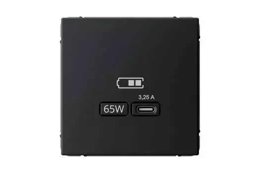 Розетка Systeme Electric AartGallery, USB-C, 3.25А, 65 Вт, механизм с накладкой, карбон (GAL001027)