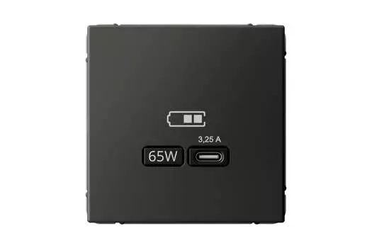 Розетка Systeme Electric AartGallery, USB-C, 3.25А, 65 Вт, механизм с накладкой, базальт (GAL001427)