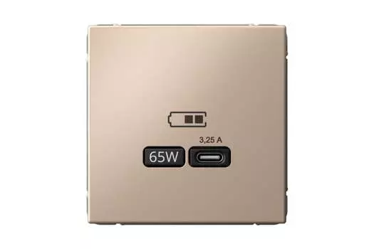Розетка Systeme Electric AartGallery, USB-C, 3.25А, 65 Вт, механизм с накладкой, песочный (GAL001227)