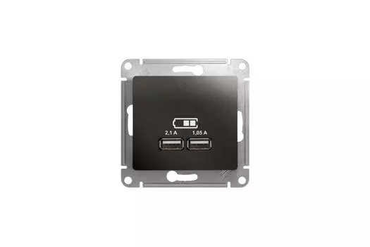 Розетка Systeme Electric Glossa, скрытый монтаж, 2-х постовая, механизм розетки с накладкой, IP20, USB Type-A, антрацит, 1 шт. (GSL000733)