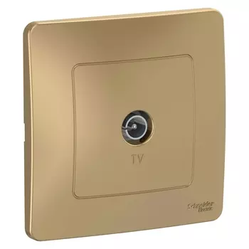Розетка TV Schneider Electric Blanka, титан, в сборе (BLNTS000014)