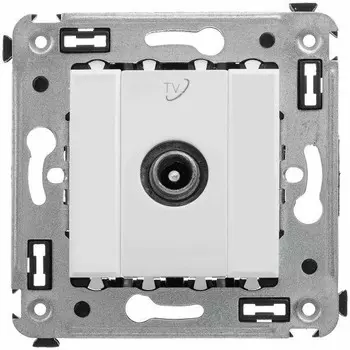 Розетка TV внешняя DKC Avanti, белый, проходная, без рамки (4400513)