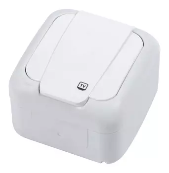 Розетка TV внешняя PANASONIC Palmiye, белый, в сборе (90555410-RU)