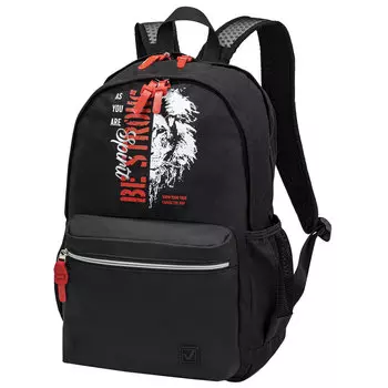 Рюкзак Brauberg FASHION CITY Lion, 2 отделения, черный (270810)