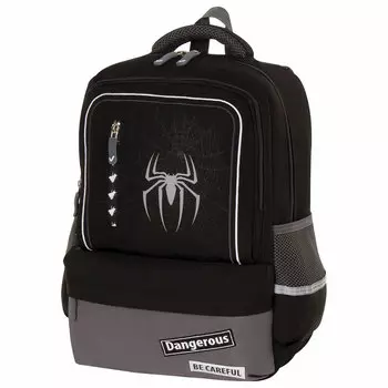 Рюкзак Brauberg STAR Spider, анатомическая, вентилируемая, формоустойчивая спинка, 1 отделение, серый/черный (229978)