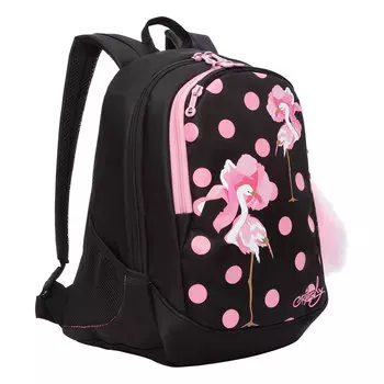 Рюкзак GRIZZLY RD FLAMINGOS, анатомическая, вентилируемая спинка, 2 отделения, черный/розовый (RD-843-12/1)