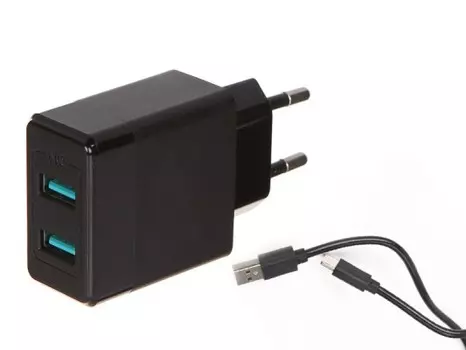 Сетевое зарядное устройство Red Line Tech Y1, 2xUSB, 2.4A, черный (УТ000032795), кабель USB Type C