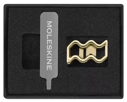 Шильд-символ Moleskine Водолей для блокнота, золотистый (PINAQUARIUSGOLD)