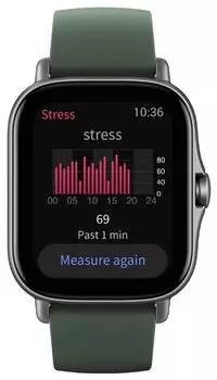 Смарт-часы Amazfit GTS 2e, 1.65" AMOLED, серый/зеленый (A2021)