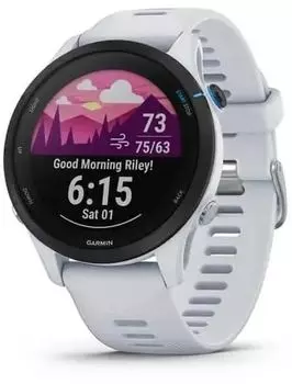 Смарт-часы Garmin Forerunner 255, 1.3" Transflective, черный/серый (010-02641-31)