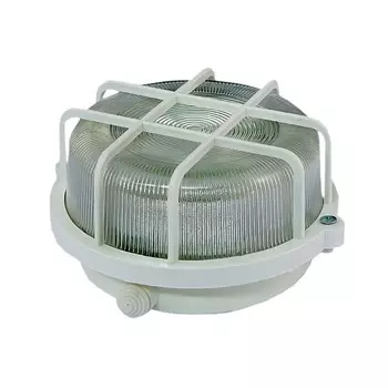 Светильник настенно-потолочный E27 НПП 03-100-005.04 , 60Вт, IP54, TDM (SQ0311-0001)