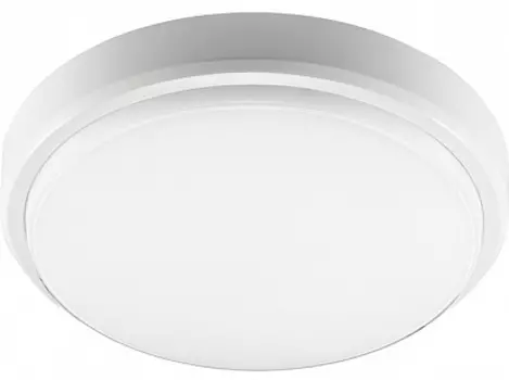 Светильник настенно-потолочный JAZZWAY PBH-PC2-RA, светодиодный, 12 Вт, IP65 (1035660)