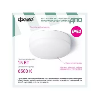 Светильник настенно-потолочный JAZZWAY ФАZА, светодиодный, 15 Вт, IP54 (5033122)