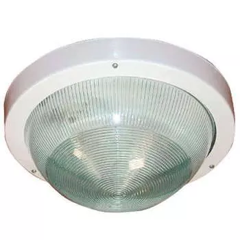 Светильник потолочный Элетех Селена 1, E27, IP65 (1005500139)