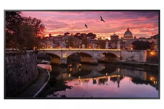 Телевизор коммерческий 50" Samsung QB50R, 4K, 3840x2160, 350кд/м2, 8мс, Rj-45, HDMI, DVI, USB, черный (QB50R)