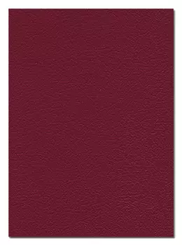 Тетрадь клетка A4 48 листов, скрепка, обложка бумвинил - ассорти, ПОЛИНОМ БУМВИНИЛ 2524 (1121406)
