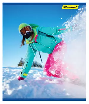 Тетрадь клетка A5 96 листов, скрепка, обложка мелованный картон - Экстрим, 4 вида в ассортименте, Silwerhof (811393-85)