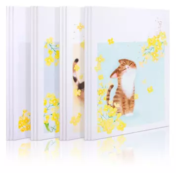 Тетрадь линейка B5 40 листов - ассорти, DELI FB540 (1394517)