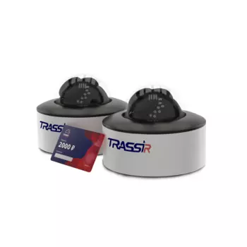 TRASSIR Улица, кол-во каналов 2, камер в комплекте: 2 (уличные), 2 Мп, 2.8мм, ИК подсветка, (W2D5Street)