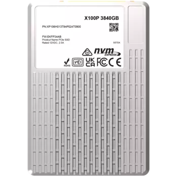Твердотельный накопитель (SSD) Phison 3.84Tb X100P, U.3 2.5", PCI-E, NVMe (XP106H013T84P024T0900)