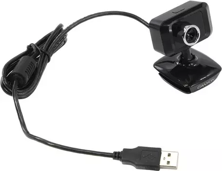 Вебкамера Canyon CNE-CWC1, 1.3 MP, 640x480, встроенный микрофон, USB 2.0, черный/серебристый