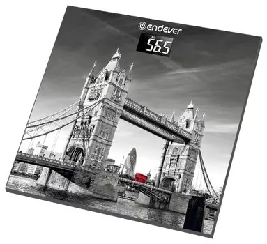 Весы ENDEVER FS-541, 150кг, диагностические, принт (80024)