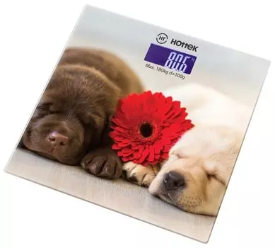 Весы HOTTEK HT-962-016, 180кг, принт (HT-962-016)