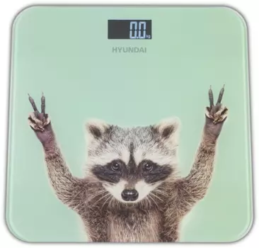 Весы HYUNDAI H-BS03589, до 180 кг, мятный (H-BS03589)