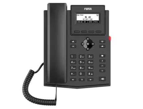 VoIP-телефон Fanvil X301, 2 линии, 2 SIP-аккаунта, монохромный дисплей, черный, БП (X301)