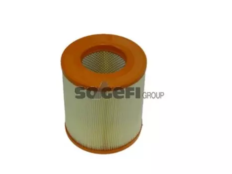 Воздушный фильтр FRAM, цилиндрический для Audi (CA10524)