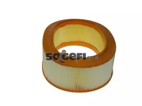 Воздушный фильтр FRAM, цилиндрический для Renault (CA10447)