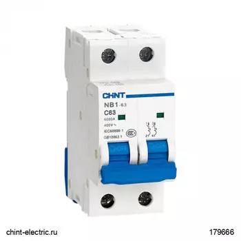 Выключатель автоматический CHINT 179666 двухполюсный (2P/2П) 50А C 6кА (179666)
