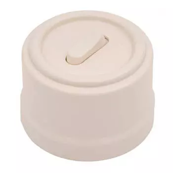 Выключатель Bironi B1-220-24, 1кл., открытый монтаж, в сборе, золотой (B1-220-24)