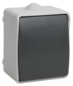 Выключатель IEK ФОРС ВС20-1-0-ФСр, 1кл., открытый монтаж, в сборе, серый (EVS10-K03-10-54-DC)