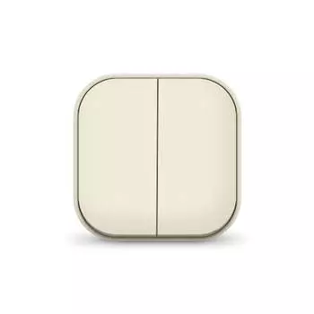 Выключатель IONICH ОП, 2кл., открытый монтаж, в сборе, слоновая кость (1425)