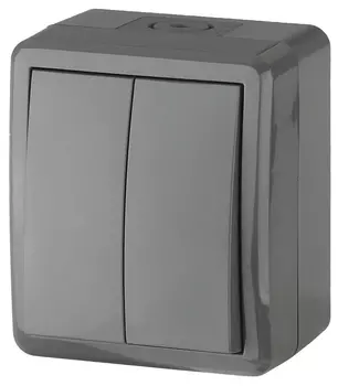 Выключатель ЭРА ОП , 2кл., открытый монтаж, в сборе, серый (11-1404-03)