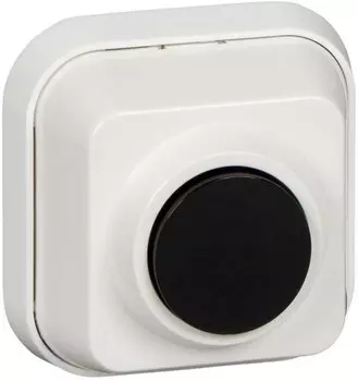 Выключатель Schneider Electric A10-4-011, 1кл., открытый монтаж, в сборе, белый (A10-4-011)