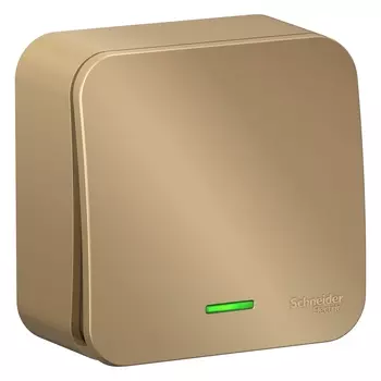 Выключатель Schneider Electric BLANCA, 1кл., индикатор/подсветка, открытый монтаж, в сборе, титан (BLNVA101104)