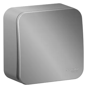 Выключатель Schneider Electric BLANCA, 1кл., открытый монтаж, в сборе, алюминий (BLNVA101013)